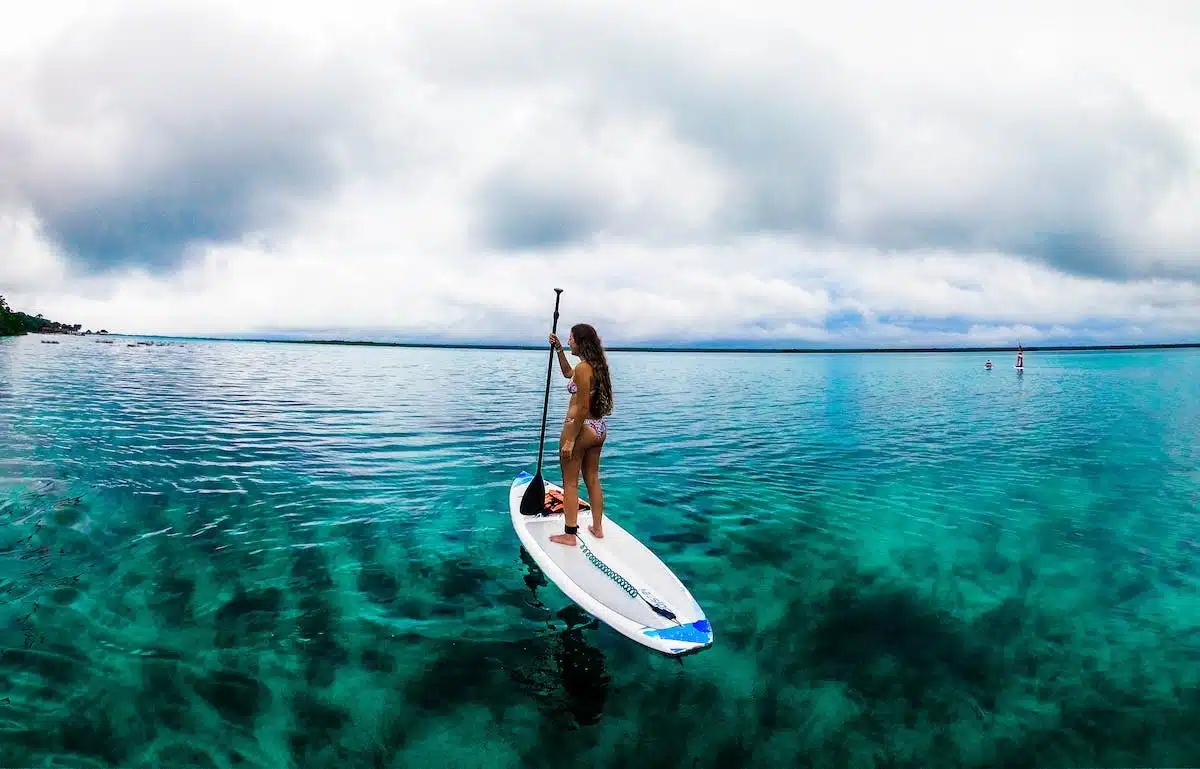 paddle  sécurité
